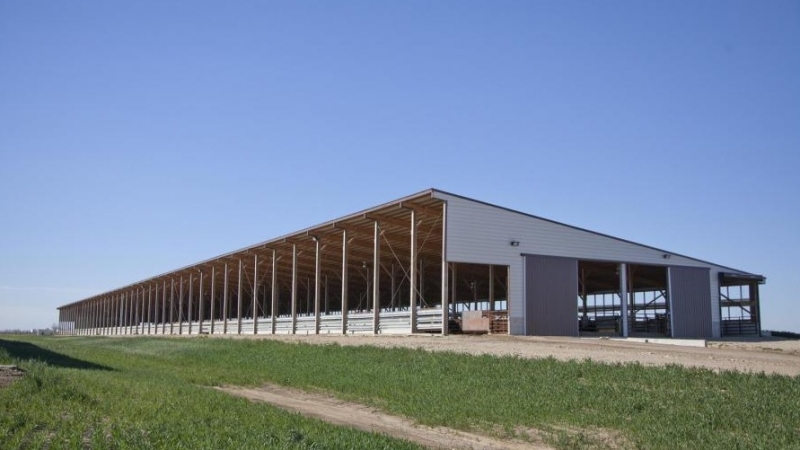 Cattle building with big dividing stalls.